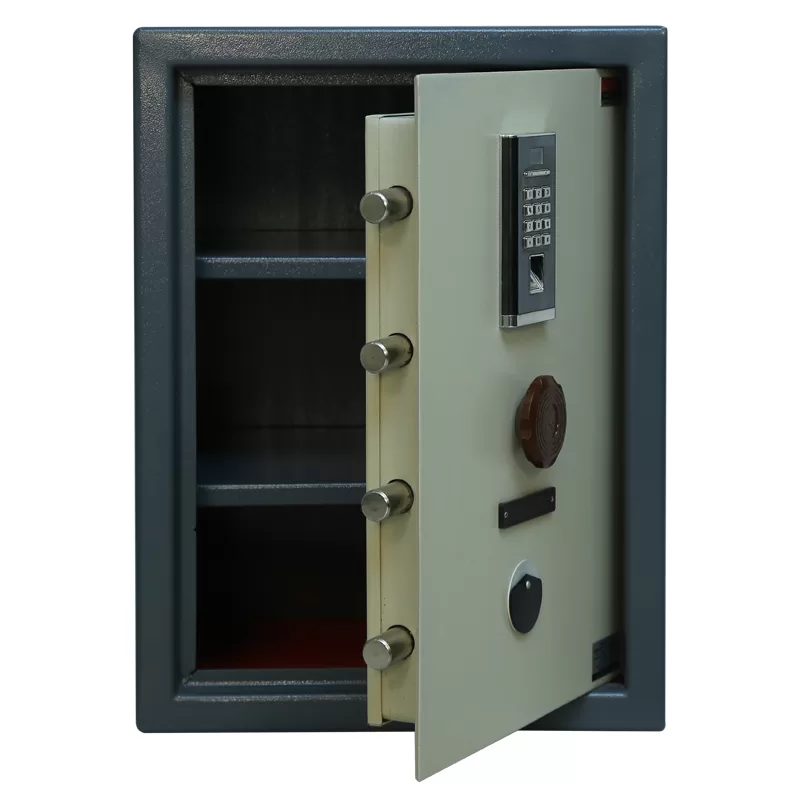Accura Biometric Home Locker Jumbo 07 - Image 2