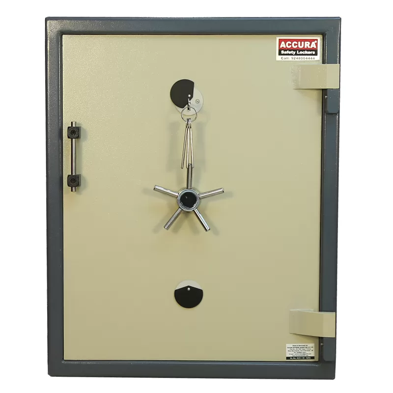 Accura Manual Home Locker Jumbo 09 (Outside Hinges) - Image 3